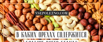 В каких орехах содержится больше всего белка?