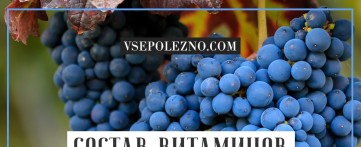 Состав витаминов и микроэлементов в винограде