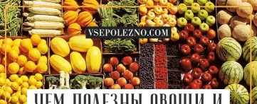 Чем полезны овощи и фрукты для человека?