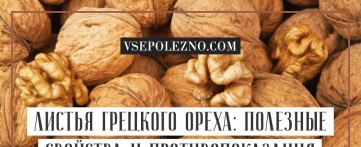 Применение чая из листьев грецкого ореха